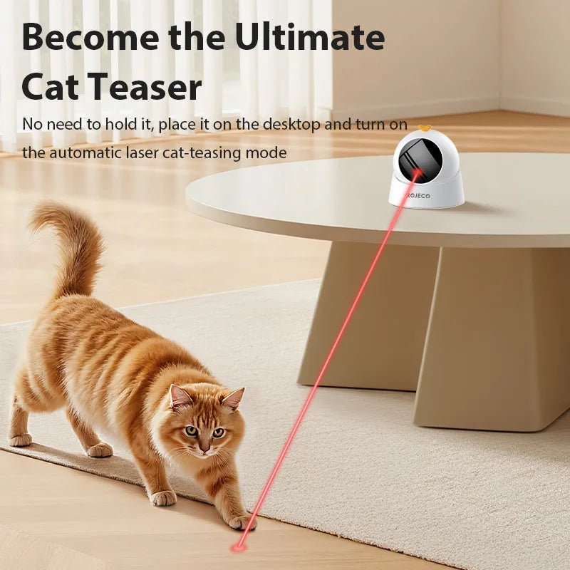 Intelligentes Laser Spielzeug für Katzen