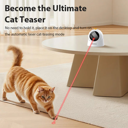 Intelligentes Laser Spielzeug für Katzen